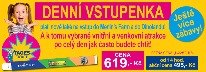 Denní vstupenka